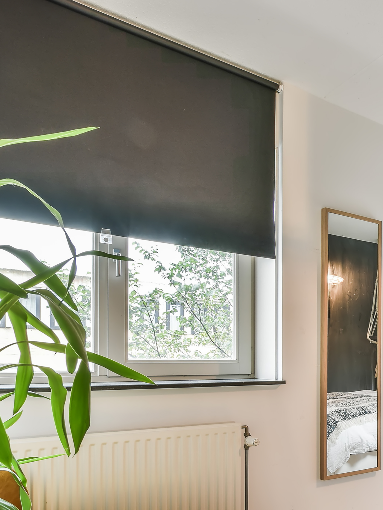 Roller Blinds Dallas Texas